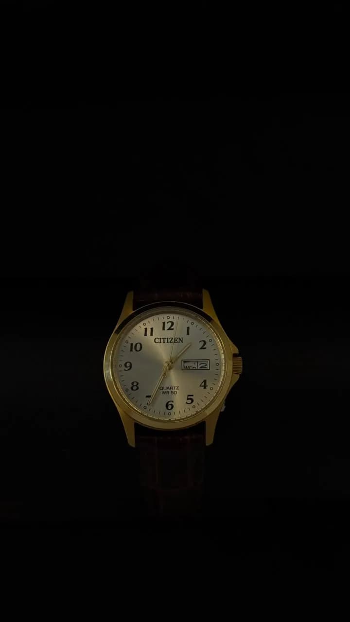 Citizen Citizen EQ200207P 1