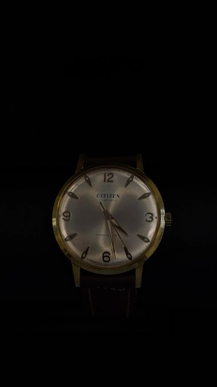 Citizen Shockproof 1